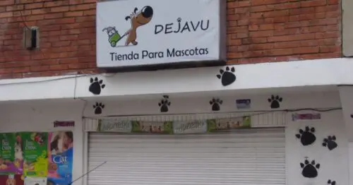 DEJAVU TIENDA PARA MASCOTAS DEJAVU TIENDA PARA MASCOTAS